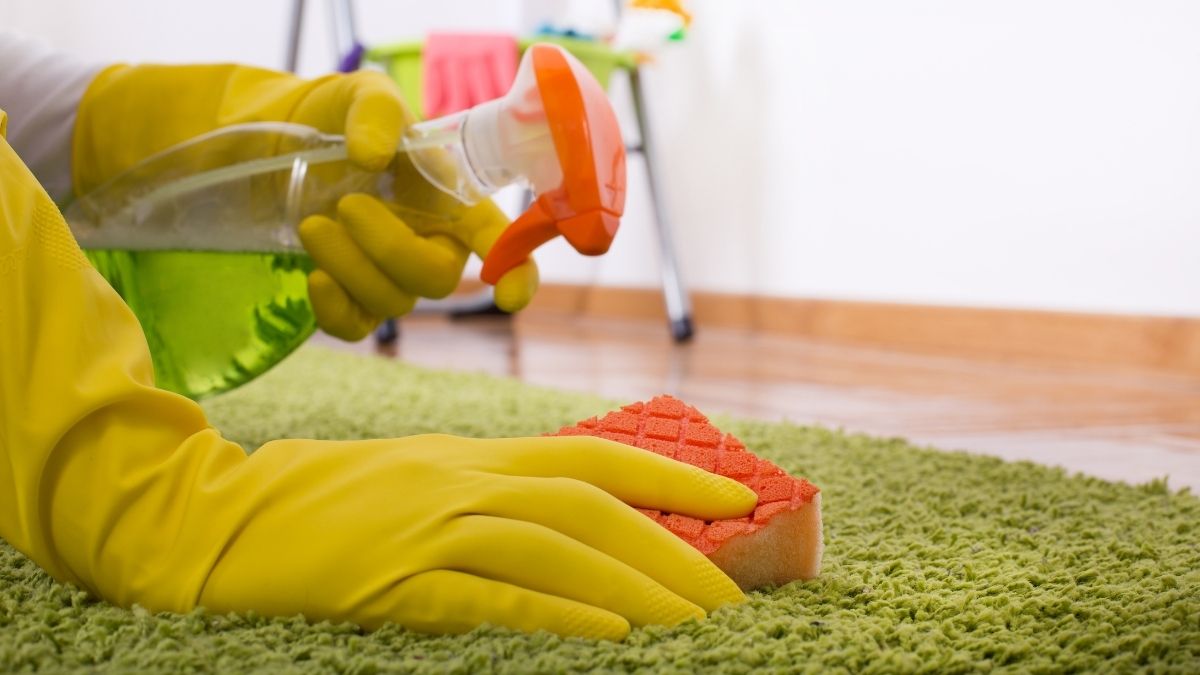 How To Clean Up Dog Poop in Your House