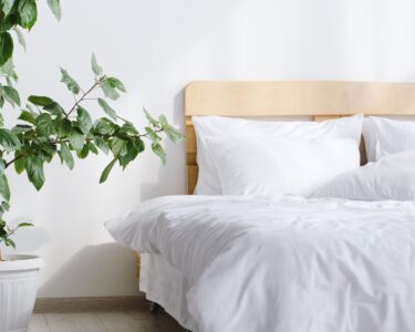 Top 3 Ways To Choose the Best Bed Sets for Your Family