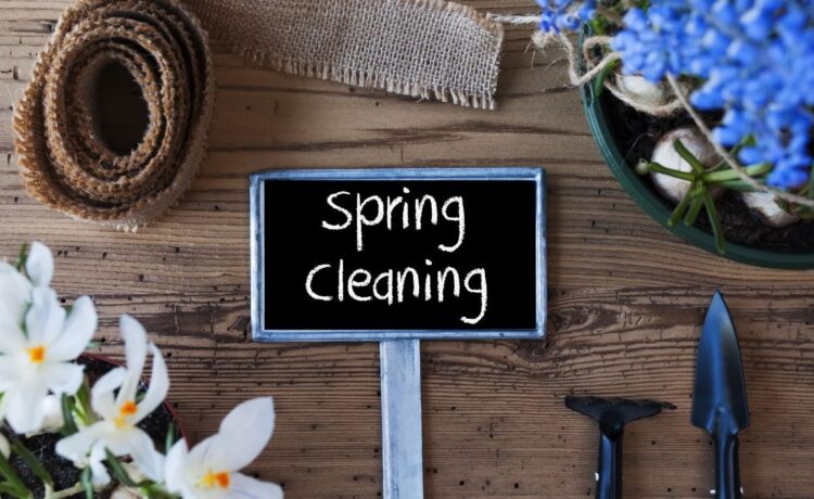 750px x 460px - Outdoor Spring-Cleaning Checklist - The Florida Villager