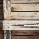 How To Prevent Mold on Your Wooden Pallets