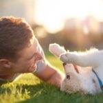 Best Outdoor Activities To Do With Your Dog