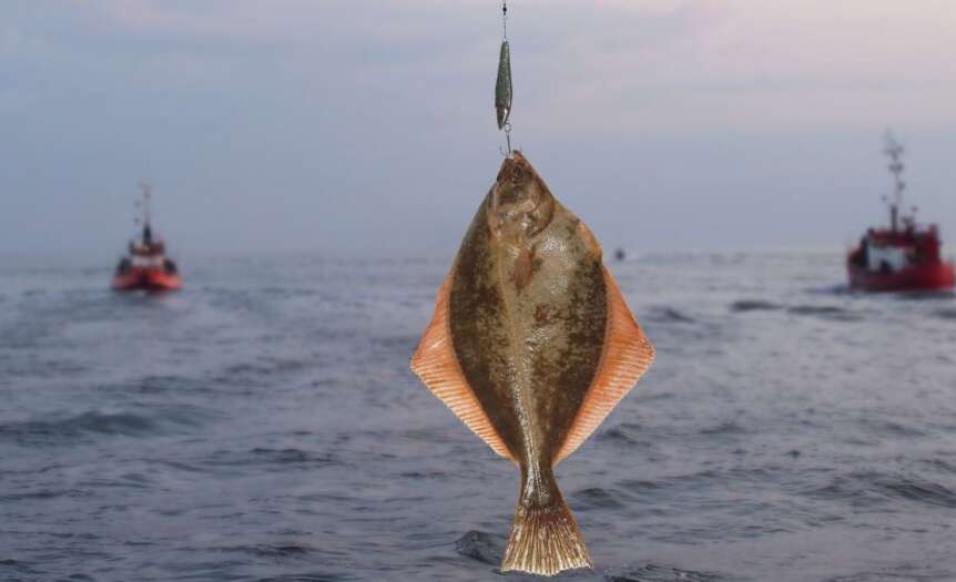 Must-Know Tips and Tricks for Flounder Fishing