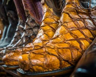 Reasons Why Boots Are Made With Alligator Skins