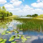 4 Things To Do in Everglades National Park