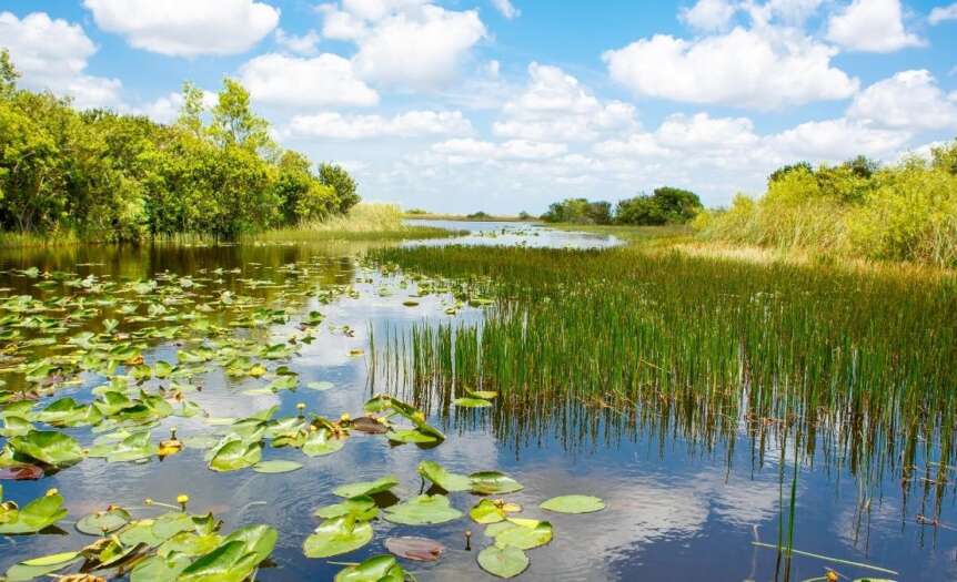 4 Things To Do in Everglades National Park