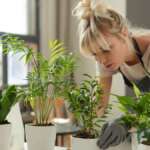 Things To Consider When Decorating With Indoor Plants