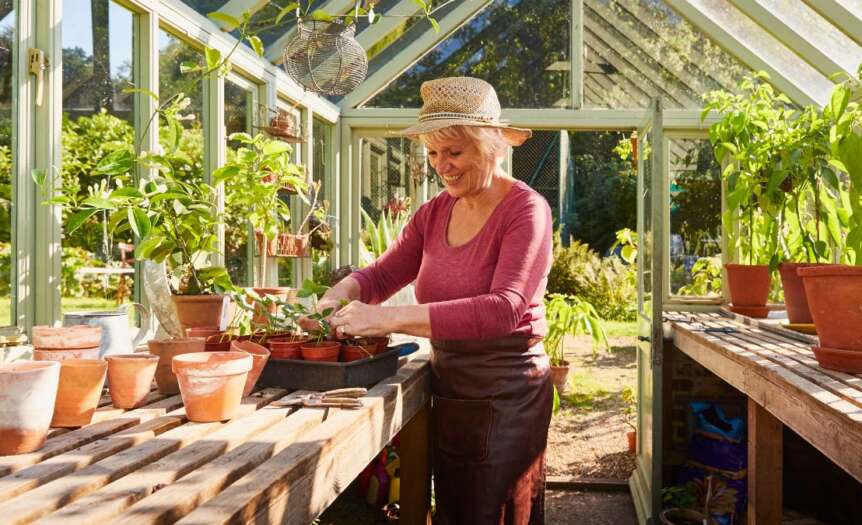 How To Transform a Shed Into a Greenhouse