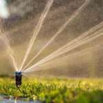 The Best Tips for Installing Your Home Sprinkler System