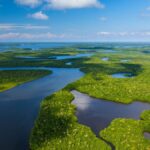 Things You Should Know Before Visiting the Everglades