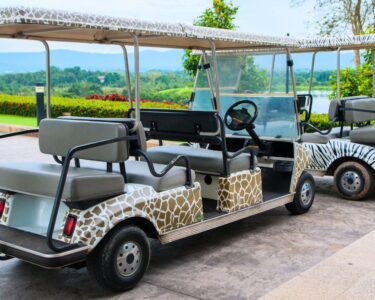 5 Unique Ways To Customize Your Golf Cart