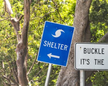 Two signs on a Florida road. One is blue and says "Shelter" with an arrow. The other is white and says "Buckle Up, It's the Law."