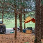 A wide open campground is covered in pine needles. The campers have a trailer, boat, and golf cart with a canopy in the trees.