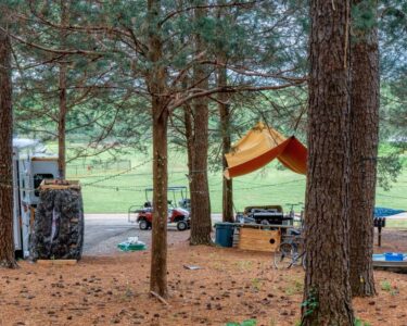 A wide open campground is covered in pine needles. The campers have a trailer, boat, and golf cart with a canopy in the trees.