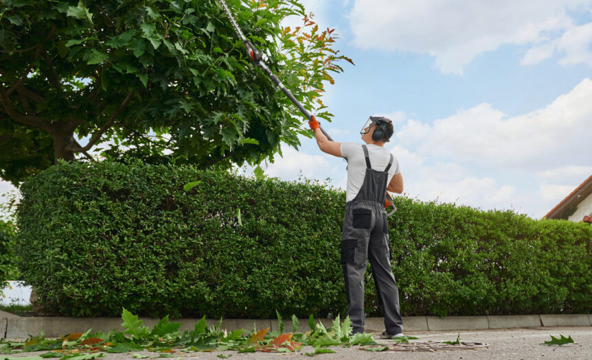 A man wearing earmuffs, a face shield, gray overalls, and orange gloves trimming a tree with a trimmer.