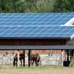 A farm on a sunny day. Solar panels line the barn's roof. Horses are feeding in their stables with a hay bale nearby.