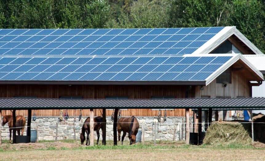 A farm on a sunny day. Solar panels line the barn's roof. Horses are feeding in their stables with a hay bale nearby.