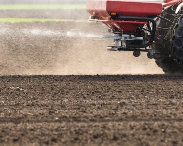 A close-up of a flat field of dirt. A tractor with a red fertilizer hopper on the back is spraying fertilizer across the dirt.