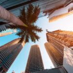 A skyward view of towering skyscrapers and palm trees in downtown Miami on a bright, sunny day.