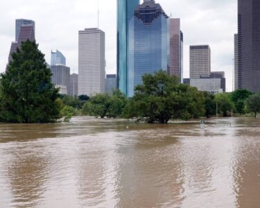 A flooded park lies in front of a city skyline. The water flooding the area is murky and brown.