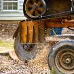 A stump grinder sitting in a residential yard to remove a stump. The equipment is yellow with a circular blade in the front.