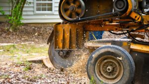 A stump grinder sitting in a residential yard to remove a stump. The equipment is yellow with a circular blade in the front.