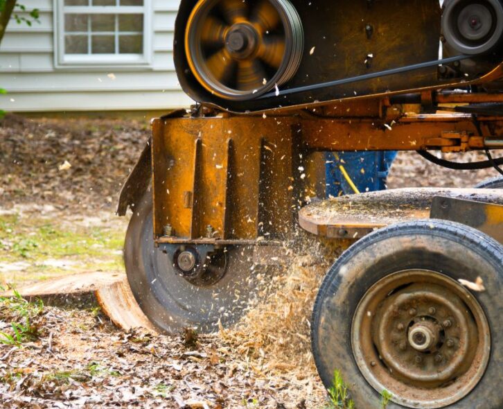 A stump grinder sitting in a residential yard to remove a stump. The equipment is yellow with a circular blade in the front.