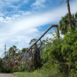 Damaged power poles and powerline equipment strewn across a road with other signs of storm damage, such as broken trees.