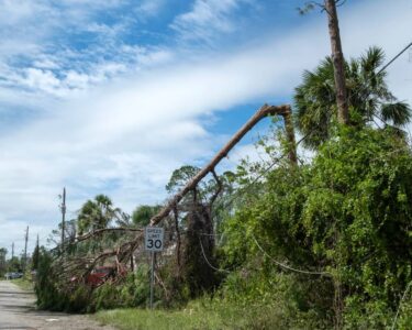 Damaged power poles and powerline equipment strewn across a road with other signs of storm damage, such as broken trees.