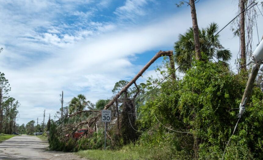 Damaged power poles and powerline equipment strewn across a road with other signs of storm damage, such as broken trees.