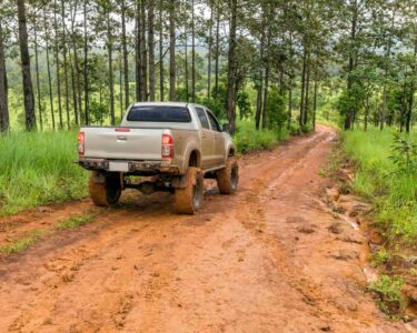 A pickup truck on a reddish muddy road in the middle of a sparsely wooded area on a gray, overcast day.