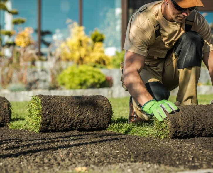 A landscaper unrolls sod while working on a backyard landscaping project. He wears green gloves and sunglasses.