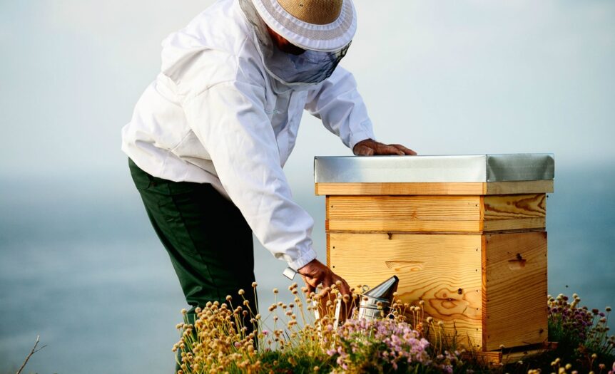 A person wearing a protective beekeeping hat and veil examining a small wooden hive surrounded by wildflowers.