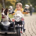 A kid sits in a toy replica of a motorcycle in a park. His dog sits in the vehicle's sidecar and wears a bandana.