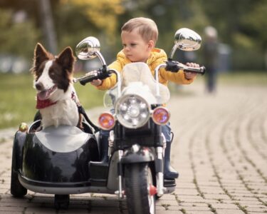 A kid sits in a toy replica of a motorcycle in a park. His dog sits in the vehicle's sidecar and wears a bandana.