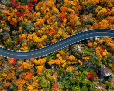 Aerial view of a softly curved winding through a dense forest. The foliage is a mix of red, yellow, orange, and green.