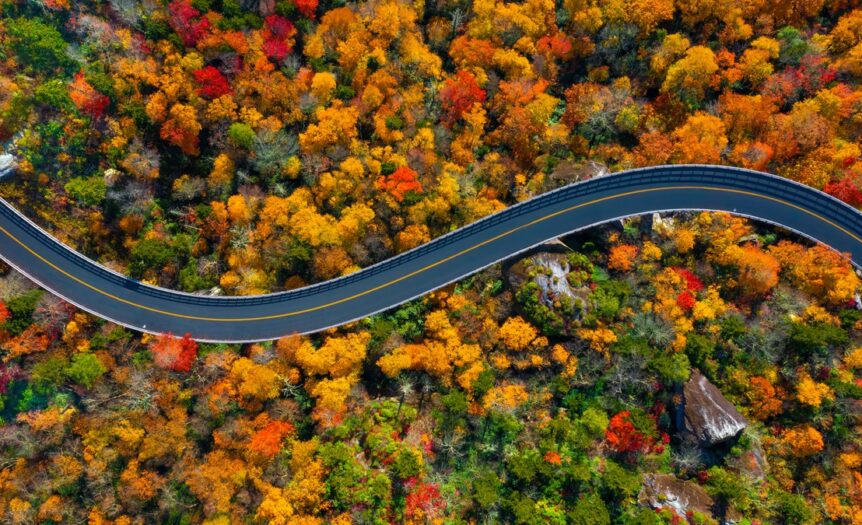 Aerial view of a softly curved winding through a dense forest. The foliage is a mix of red, yellow, orange, and green.
