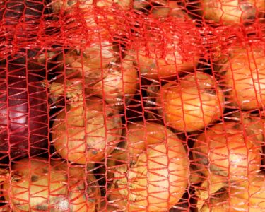A close-up of a package of onions still in their orange netting. The onions are yellow and red varieties.