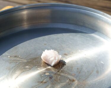 A skillet has a small amount of beef tallow sitting in the center.