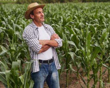 A farmer standing in his cornfield with his arms crossed. He looks quite proud while wearing his straw hat.