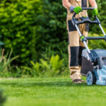 A person pushing a light blue lawnmower across short grass surrounded by greenery such as bushes, ferns, and trees.