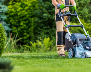 A person pushing a light blue lawnmower across short grass surrounded by greenery such as bushes, ferns, and trees.