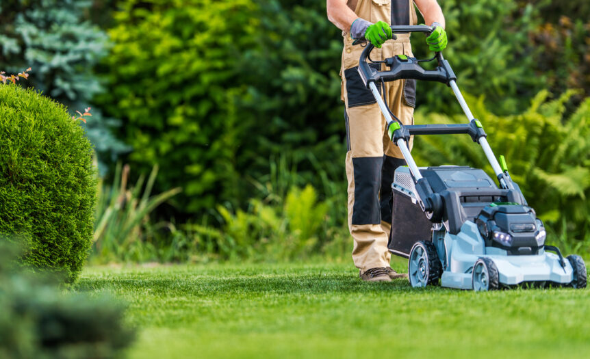 A person pushing a light blue lawnmower across short grass surrounded by greenery such as bushes, ferns, and trees.