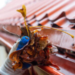 Close-up of a person's hand removing leaves from a gutter. The person wears a white and blue glove on their hand.