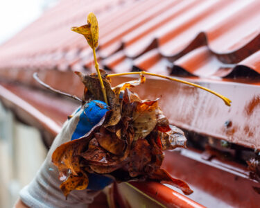 Close-up of a person's hand removing leaves from a gutter. The person wears a white and blue glove on their hand.