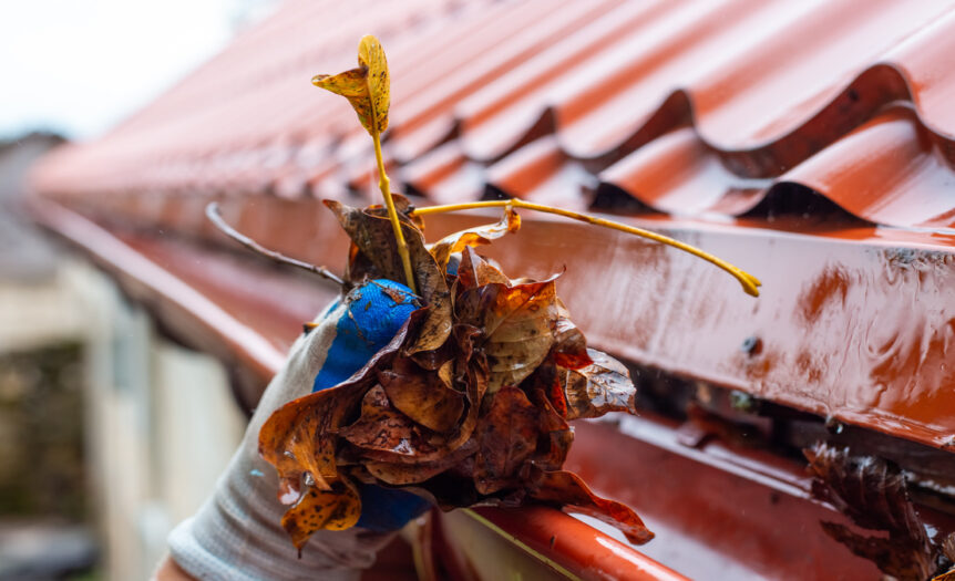 Close-up of a person's hand removing leaves from a gutter. The person wears a white and blue glove on their hand.