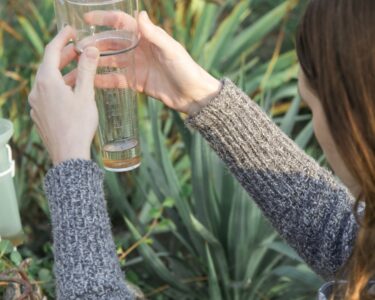 A woman's two hands holding a clear rain gauge with visible markings and water, surrounded by green garden foliage.