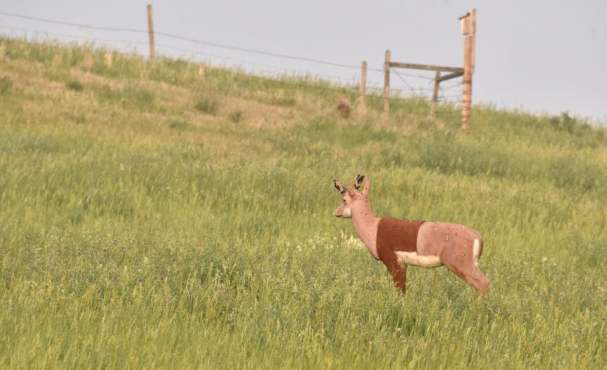 A three-dimensional Styrofoam target in the shape of a Pronghorn deer. It stands in a field on a steep hill slope.