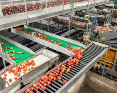 An overhead view of a fruit packaging warehouse with a multi-level industrial conveyor belt system transporting apples.