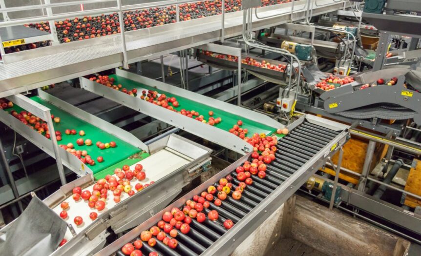 An overhead view of a fruit packaging warehouse with a multi-level industrial conveyor belt system transporting apples.